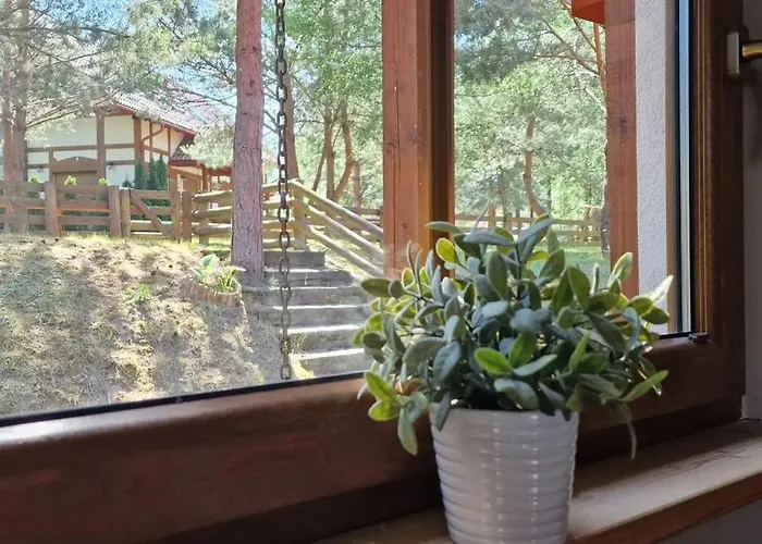 A 133 Caffe Latte- Kaszubska Ostoja Barkocin